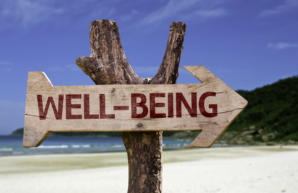 Well-Being wooden sign with a beach on background-2